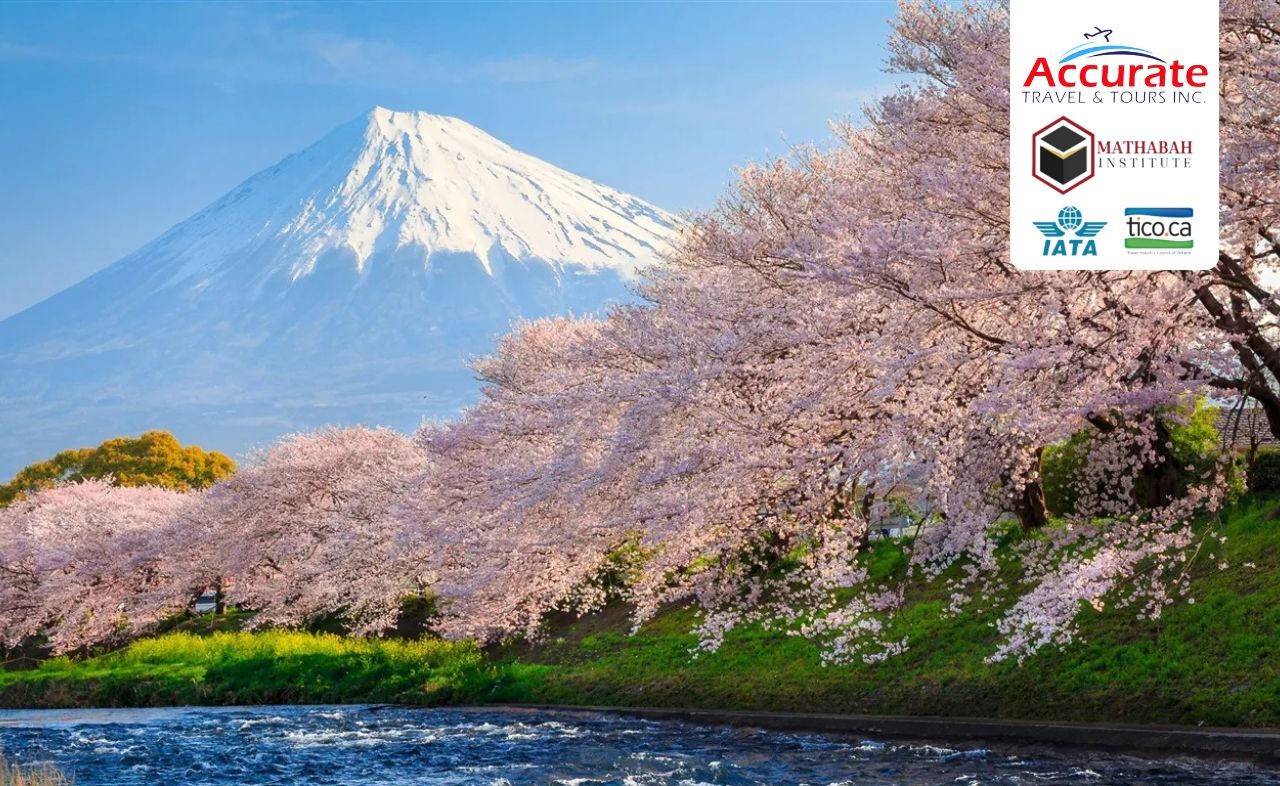 Halal Japan Tour Package